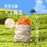 薛记炒货红杏干88g/袋 蜜饯无核红杏干果脯水果干酸甜杏子休闲零食 352g杏干（88g*4袋）