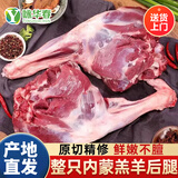 咏华春内蒙古散养苏尼特羊羔羊新鲜宰杀羔羊后腿肉宰杀急冻发货羊腿肉 不带骨羊后腿肉3斤 红烧