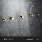 纽博特金色全铜免打孔装饰衣柜玄关鞋柜挂钩卫生间浴室挂衣钩衣帽钩壁挂 【金色】五钩（打孔安装)