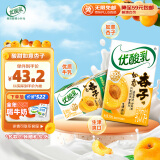 伊利优酸乳如意杏子味250ml*24盒/整箱 牛奶饮品 礼盒装