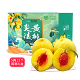 炎陵黄桃湖南炎陵高山黄桃红心脆甜生鲜水果 精品特大果5-6两12个装|JD快递