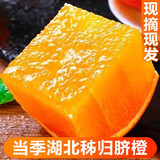 绿美鲜城湖北秭归脐橙新鲜水果手剥冰糖甜橙大果正宗果冻橙九月红 5斤 甄选装 【果经70-75mm】