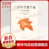 一片叶子落下来 关于生命的故事一本经典生命教育绘本 爱心树童书[3-10岁]