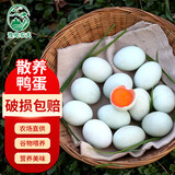 豫宛农夫农家散养生鸭蛋 鲜土鸭蛋  新鲜发货 40枚装 单枚60-70g