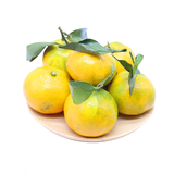 东江湖蜜桔900g