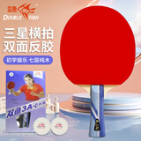 双鱼（DOUBLE FISH）单拍横拍长柄学生全能型训练专用乒乓球拍双面反胶【3A+C 附2球】
