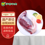伊赛 （中国绿色产品）国产原切金钱腱/牛腱子芯肉500g  烧烤 冷冻