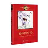 诺奖童书：蜜蜂的生活