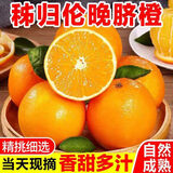 柏馋新鲜夏橙子薄皮榨汁商用应季水果新鲜脐橙整箱批发手剥甜橙整箱送 5斤精品装净重4.5斤 70-75mm店长实惠推荐