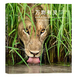 万物有灵：国际野生生物摄影年赛 第54届获奖作品