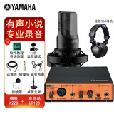 YAMAHA雅马哈UR12B配音有声书录音专业设备套装喜马拉雅小说声卡外置录音棚吉他编曲 UR12B+得胜K220电容麦