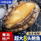 鲜活大鲍鱼 大号鲍鱼鲜活冷冻生鲜贝类海鲜水产烧烤火锅食材 2斤实惠装
