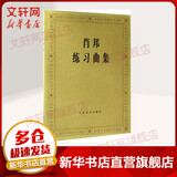 肖邦练习曲集 人民音乐出版社 (波)肖邦(Chopin) 作曲;(波)帕德雷夫斯基(Paderewski) 编 著 书籍