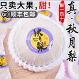甘贤（GANXIAN）山东莱阳秋月梨【JD/顺丰】新鲜现摘丰水冰糖梨 中秋水果礼盒带箱 7斤精美礼盒装（8-10颗大果）