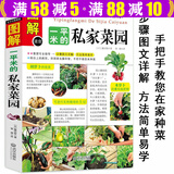 【包邮】蔬菜种植技术室内室外西红柿黄瓜茄子青菜辣椒草莓阳台露台阳台庭院顶楼 种菜栽培实用手册 一平米的私家菜园 藤田智 定价39.8
