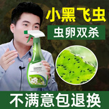 皎洁家用花盆花土壤杀虫剂灭花卉植物里面有小黑飞非专杀虫虫净飞虫药 1瓶