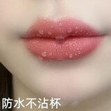 GOVO不沾杯不掉色的保湿持久防水口红持久囗 红豆沙色 #G03蜜桃豆沙口红_Aten