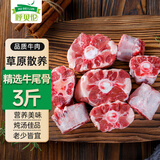 呼贝伦内蒙古黄牛 原切牛尾骨净重3斤 生鲜牛肉牛尾巴煲汤烧烤火锅食材