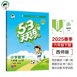 53天天练 小学数学 六年级下册 XS 西师版 2025春季 含测评卷 参考答案 开学季