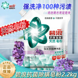 碧浪天然洗衣皂粉强效去污除菌除螨低泡洗衣粉薰衣草留香机手洗家庭装 抗菌除螨2.2kg