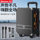纽曼N518 8英寸大功率重低音广场舞音响移动家用户外K歌蓝牙拉杆便携式音箱扩音器双麦 带适配器