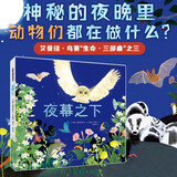 夜幕之下（一本了解神秘夜晚里，动物们都在做什么的科普绘本）(中国环境标志 绿色印刷)