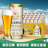 薩羅娜（SALUONA）小麦白啤酒 500ml*24听整箱装 国产原浆白啤