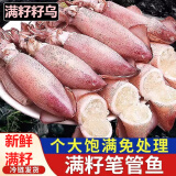全籽带籽籽乌鲜活海鲜水产真籽纯籽满籽籽乌小海兔笔管鱼小乌贼 满籽笔管鱼【8-12只/ 斤】 3斤