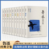 鲁迅经典全集 (全10册) 文学研究类书籍 国学普及读物 文学作品集  鲁迅