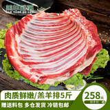 羔羊部落羔羊羊排内蒙古羔羊肋排烧烤清炖手把肉食材新鲜羊肉5斤全排