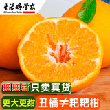 生活＆好管家 四川春见耙耙柑新鲜水果应季橘子现摘孕妇水果整箱桔子橘子 优选级市场果 8.5-9斤中果【单果70-75mm】净重8斤