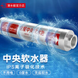 潜水艇（Submarine）阻垢器中央无盐阻垢器器大流量家用全屋自来水阻去水垢除碱净水过 中央阻垢器WR206