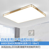 LOCKZI广东中山灯具客厅 吸顶灯led客厅灯大厅灯饰卧室灯2024新款大灯网 长60*40厘米白光全亮