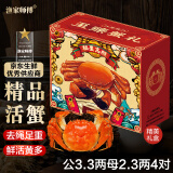 【活蟹】漁家师傅大闸蟹公3.3-3.6两母2.3-2.6两4对8只去绳足重鲜活螃蟹生鲜海鲜礼盒