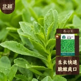 北蔬 养心菜种子种苗救心菜费菜可食用野菜蔬菜种籽 养心菜种子200粒