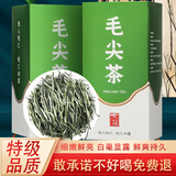 悦己初露特级明前毛尖高山绿茶 口粮茶 新茶叶 白毫细嫩 赠送礼袋 100g*2盒