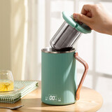 摩茶养生杯迷你电炖杯便携式煮茶热牛奶神器熬粥mini办公室热奶杯养生壶烧水杯多功能养身壶 浅衫绿+滤网【送勺子】 0.45L