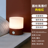 松潮网红创意小夜灯台灯书桌卧室床头灯充电助睡眠灯可定时调光氛围灯 橙红【定时关灯+无极调光+呼吸模式】