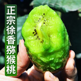 肴池晚采徐香猕猴桃周至新鲜绿心奇异果应季水果彩箱珍珠棉礼盒 20枚特大果【果肉满满|品质】105-125克