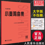 新版包邮 大音符版 人音红皮书钢琴基础教程系列  正版2025年适用钢琴教程 人民音乐出版社 小奏鸣曲集（大音符版） 赠：五线谱本