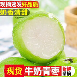 皇金蜜福建青枣牛奶枣新鲜水果脆甜枣贵妃蜜枣当季孕妇可吃现摘现发 净重4.5-5斤