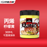 中盛画材 300ML丙烯颜料室外墙绘DIY手绘画鞋美甲大瓶桶装 柠檬黄美术写生