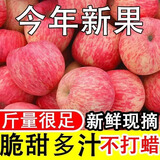 【爆甜头茬】陕西红富士苹果正宗当季脆甜应季冰糖心新鲜水果薄皮 优质大果【果径70-75mm】 【净重8斤装】