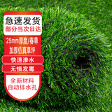 萌肉居 仿真草坪加密假草塑料室内幼儿园操场人工草坪25mm厚春草1P