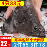 海皇湾深海鲽鱼头 鸦片鱼头 超大比目鱼头海鲜 生鲜鱼类 鲽鱼头 250g