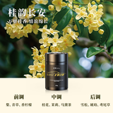 点氛车载香薰固体香膏汽车香水车内用男女士高级正品香氛高端持久淡香 桂韵长安（暖雅花香调）