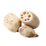 【有机】莲藕400g（脆藕）