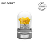 ROSEONLY诺誓星座独角兽抱抱龙永生花玫瑰花音乐球送女友生日情人节礼物 狮子座-音乐球-钟罩-守护色