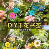 【全网低价】佳茉 干花书签标本塑封膜瓶子里的春天收集童年手工diy材料透明树叶粘贴画玻璃幼儿园小学生儿童