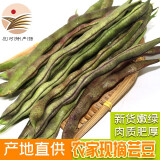 鲜姿东北紫豆角白芸豆黄金钩豆角油豆角大紫袍芸豆农家新鲜青蔬菜 紫豆角 1斤